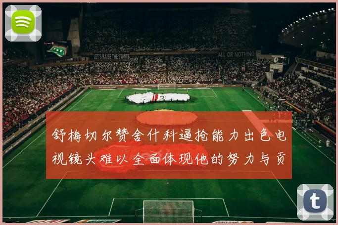 舒梅切尔赞舍什科逼抢能力出色电视镜头难以全面体现他的努力与贡献